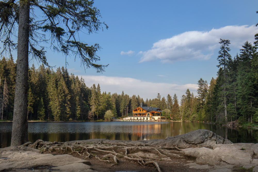 Arberseehaus im Wald am See