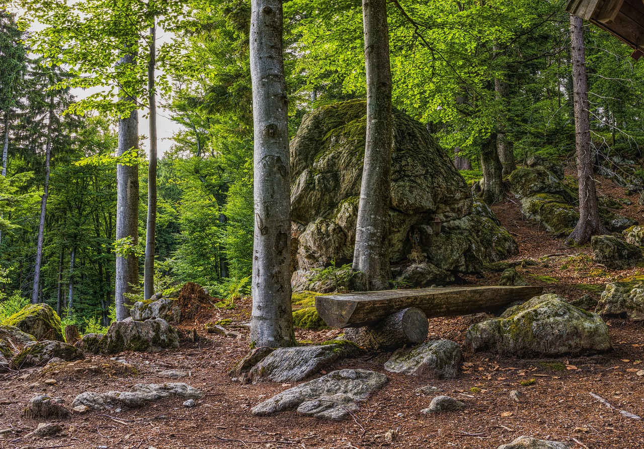 Sitzgelegenheit mitten im Bayerischen Wald