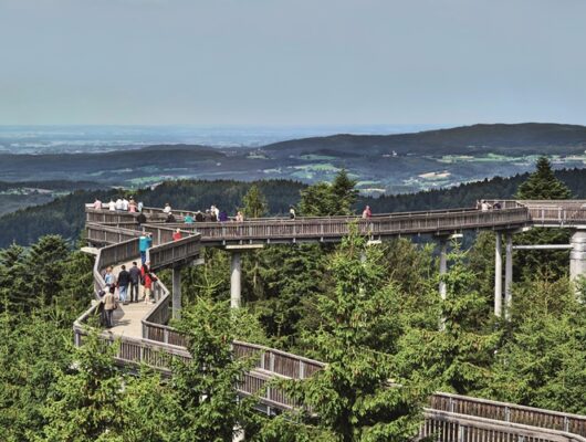 stezka v korunach_maibrunn_sankt englmar